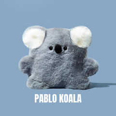 Pablo Koala