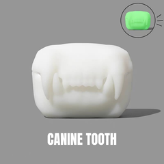 Canine Tooth