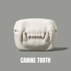 Canine Tooth
